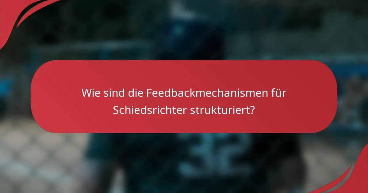 Wie sind die Feedbackmechanismen für Schiedsrichter strukturiert?